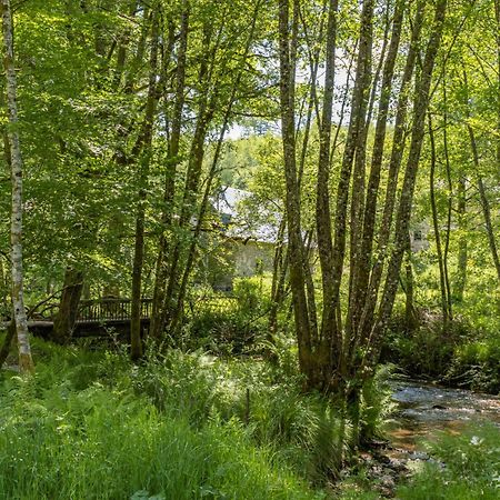 Gite Nature Le Moulin Vitrac-sur-Montane ภายนอก รูปภาพ