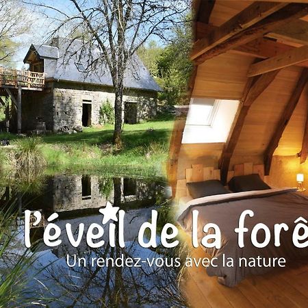 Gite Nature Le Moulin Vitrac-sur-Montane ภายนอก รูปภาพ