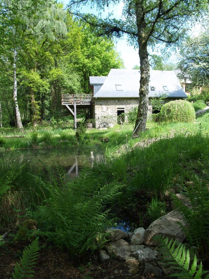 Gite Nature Le Moulin Vitrac-sur-Montane ภายนอก รูปภาพ