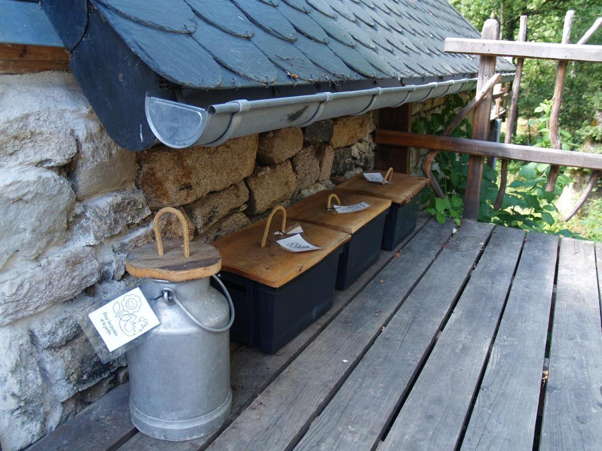 Gite Nature Le Moulin Vitrac-sur-Montane ภายนอก รูปภาพ