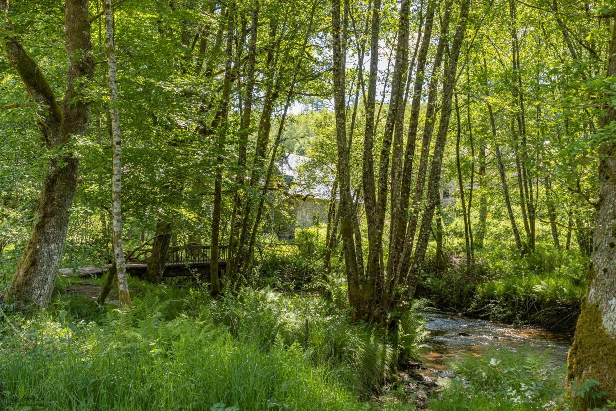 Gite Nature Le Moulin Vitrac-sur-Montane ภายนอก รูปภาพ