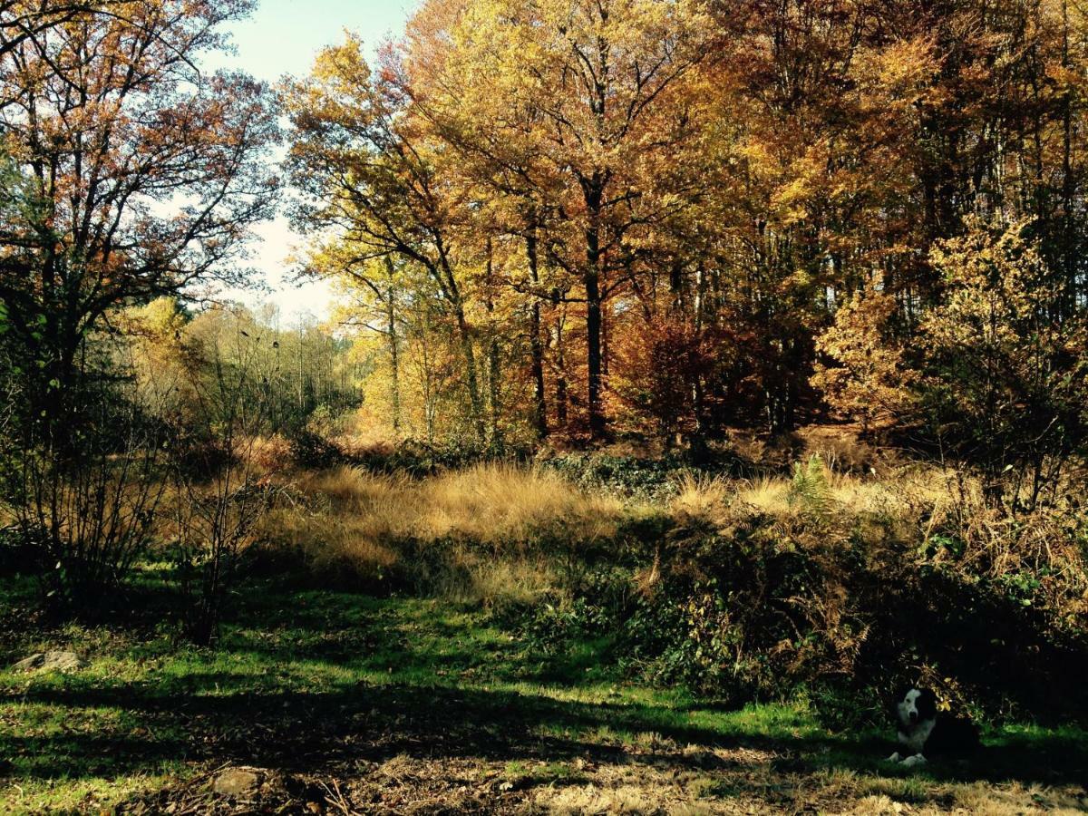 Gite Nature Le Moulin Vitrac-sur-Montane ภายนอก รูปภาพ