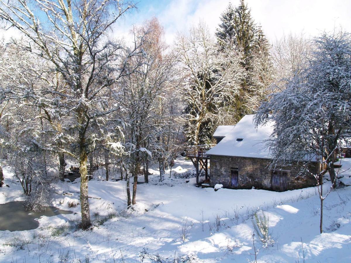 Gite Nature Le Moulin Vitrac-sur-Montane ภายนอก รูปภาพ