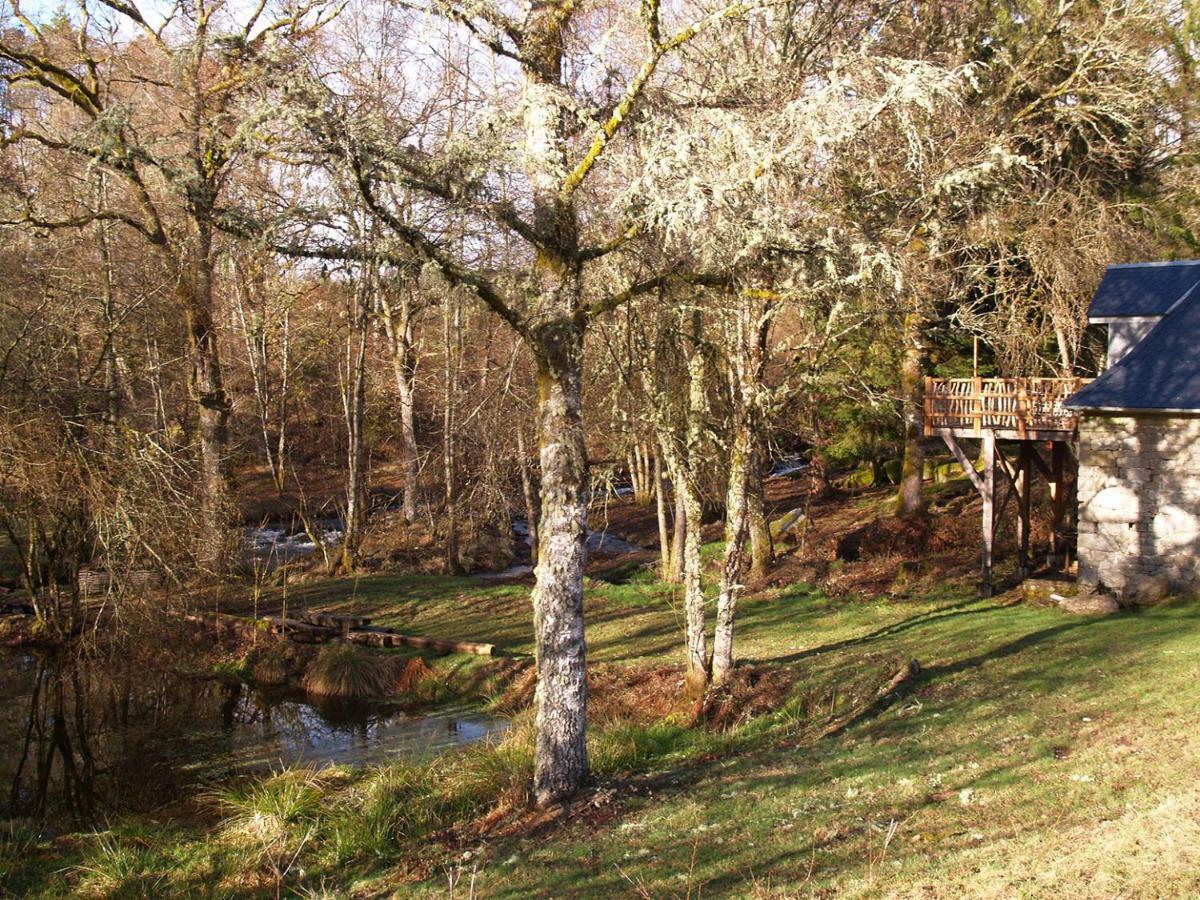 Gite Nature Le Moulin Vitrac-sur-Montane ภายนอก รูปภาพ