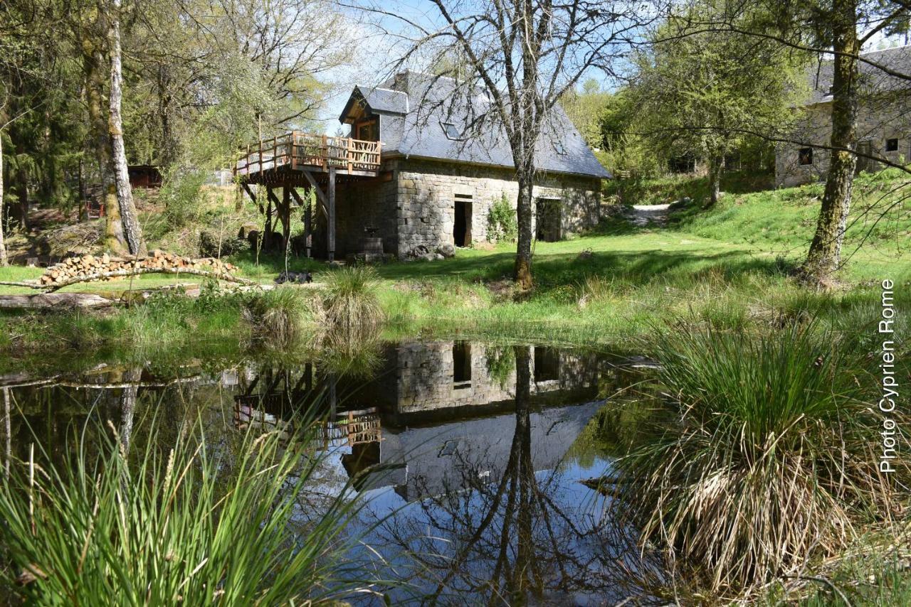 Gite Nature Le Moulin Vitrac-sur-Montane ภายนอก รูปภาพ