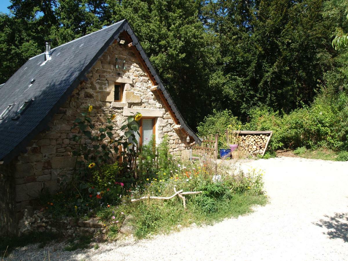 Gite Nature Le Moulin Vitrac-sur-Montane ภายนอก รูปภาพ